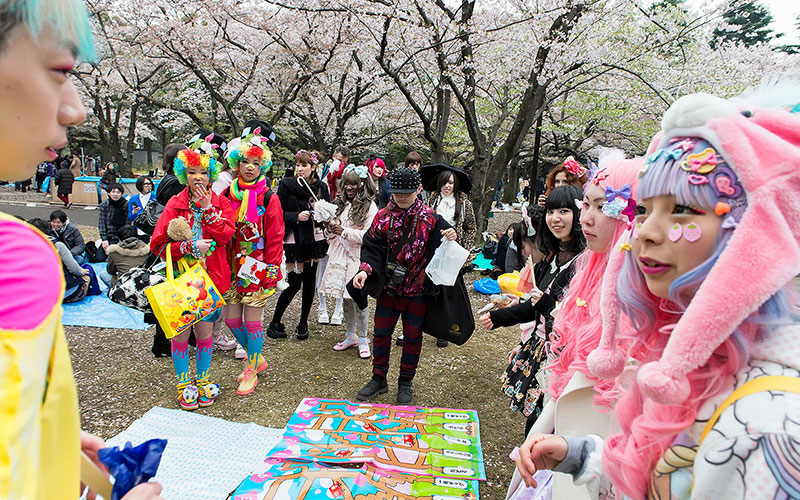 جشنواره شکوفه گیلاس