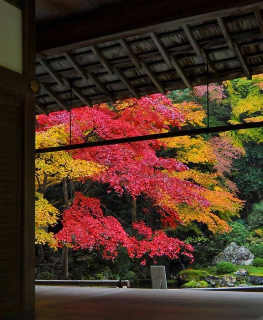 پاییز رنگارنگ ژاپن