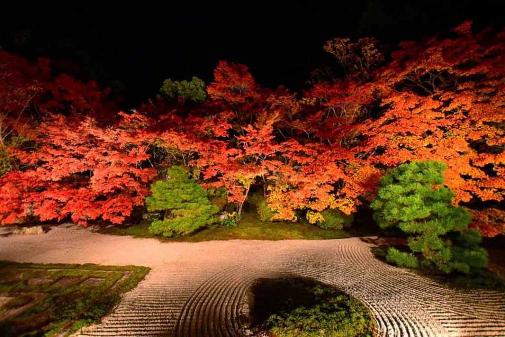 پاییز رنگارنگ ژاپن